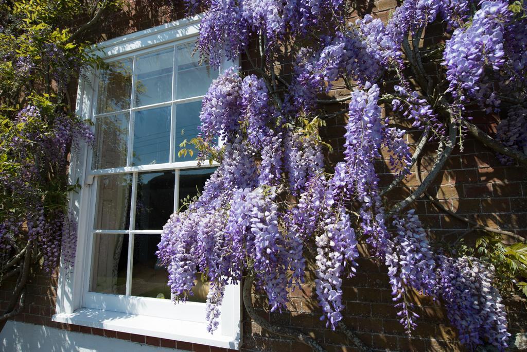 Boreham House Herstmonceux Exterior foto